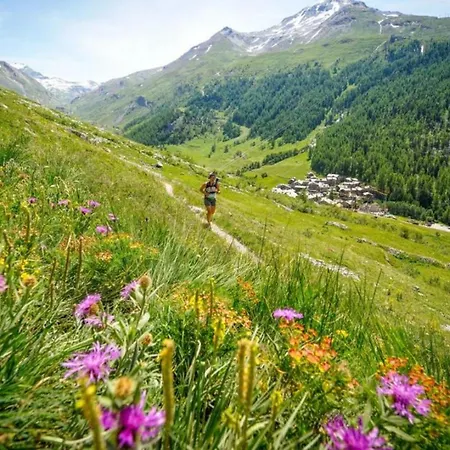 Les Avouilles Close To Mont Blanc Lägenhet Chamonix
