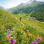 Les Avouilles Close To Mont Blanc Appartement Chamonix