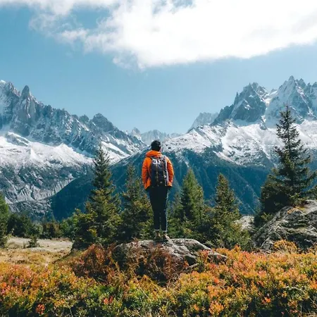 Les Avouilles Close To Mont Blanc Apartamento *