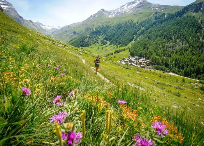 Les Avouilles Close To Mont Blanc Apartamento Chamonix